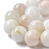 Natural Rainbow Moonstone Beads Strands G-N328-024-10mm-4