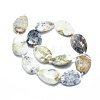 Natural White Opal Bead Strands G-O179-J08-2
