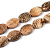 Natural Picture Jasper Beads Strands G-S354-13x18-A06-2