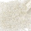 10G Glass Seed Beads SEED-YW0003-11B-1