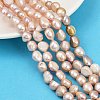 Natural Cultured Freshwater Pearl Beads Strands PEAR-P064-20K-01B-1
