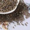 Glass Seed Beads SEED-S042-13A-16-1