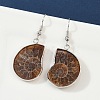 Fossil Spiral Dangle Earrings EJEW-P153-01-4