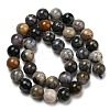 Natural Dendritic Jasper Beads Strands G-R494-A23-04-2