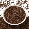 Baking Paint Glass Seed Beads X-SEED-S042-05B-43-2