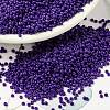 MIYUKI Round Rocailles Beads SEED-X0056-RR0414-1