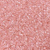 MIYUKI Delica Beads Small X-SEED-J020-DBS0106-3