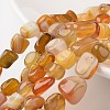 Chip Natural Agate Bead Strands G-M345-05-1