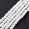 Electroplate Opaque Solid Color Glass Beads Strands LS-EGLA-A034-P10mm-L17-2