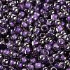 Glass Seed Beads SEED-A032-06W-3