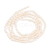 Natural Cultured Freshwater Pearl Beads Strands PEAR-D003-01D-02-3