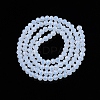 Glass Beads Strands EGLA-A044-J3mm-D06-3