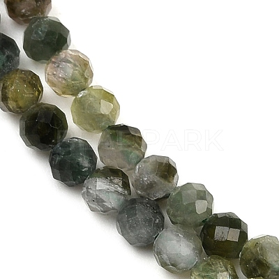 Natural Green Tourmaline Beads Strands G-F798-A03-02-1
