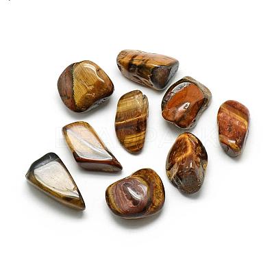 Natural Tiger Eye Gemstone Beads G-S218-20-1