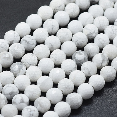 Natural Howlite Beads Strands G-D0013-65-1