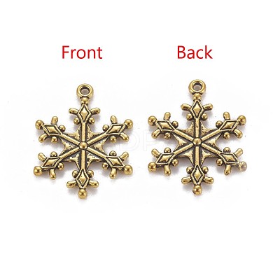 Zinc Tibetan Style Alloy Pendants TIBEP-12740-AG-LF-1