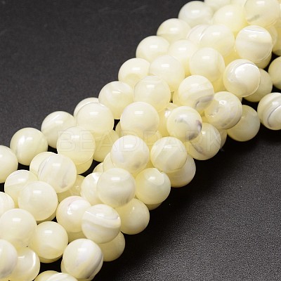 Shell Beads Strands SSHEL-E571-39-4mm-1