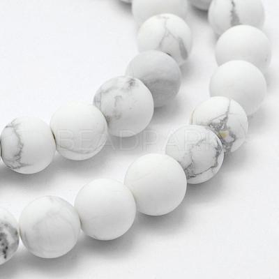 Natural Howlite Beads Strands G-F518-22-8mm-1