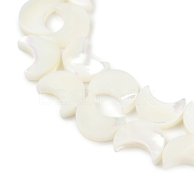 Natural White Shell Beads Strands SSHEL-10X12-1