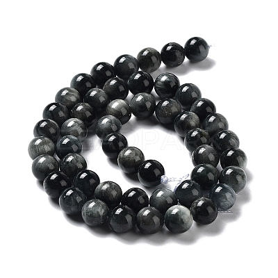 Natura Hawk's Eye Beads Strands G-D0001-22B-8mm-01-1