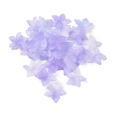 Transparent Acrylic Beads Caps OACR-B022-02A-1