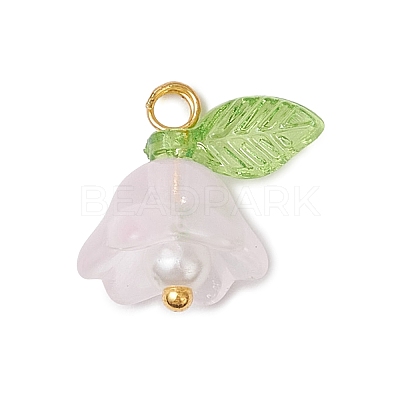 Glass Charms PALLOY-MZ00838-04-1