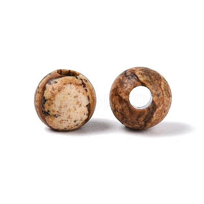 Natural Picture Jasper Beads G-Q602-08A-09-1