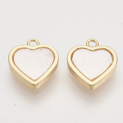 Shell Charms X-KK-T054-30G-NF-1
