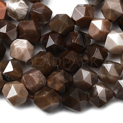 Natural Petrified Wood Beads Strands G-Z119-A21-02-1