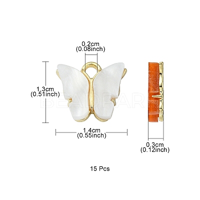 15Pcs Acrylic Charms MACR-YW0002-12KCG-1