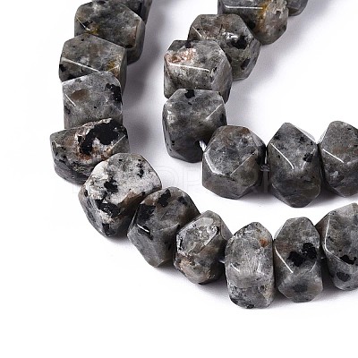 Natural Syenite Beads Strands G-N327-05-27-1