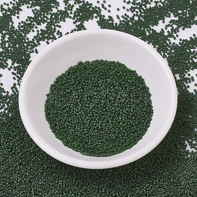 MIYUKI Delica Beads SEED-X0054-DB0797-1