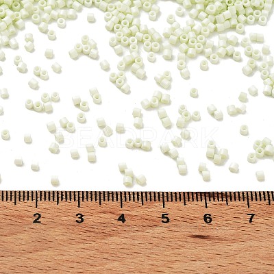 Baking Paint Glass Seed Beads X-SEED-S042-05B-63-1