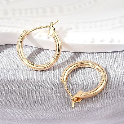 Brass Hoop Earrings X-KK-S356-150G-NF-1