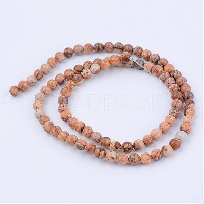 Natural Picture Jasper Beads Strands G-Q462-4mm-35-1