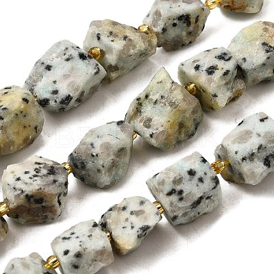 Raw Rough Natural Seaame Jasper Beads Strands G-Z087-B03-1