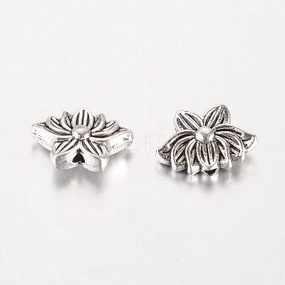 Tibetan Style Alloy Beads X-TIBEB-K026-04-1
