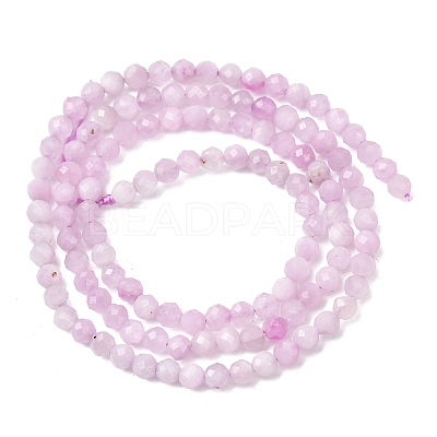 Natural Kunzite Beads Strands G-G259-D11-3mm-01-1