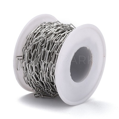 Tarnish Resistant 304 Stainless Steel Paperclip Chains CHS-D033-06P-02-1