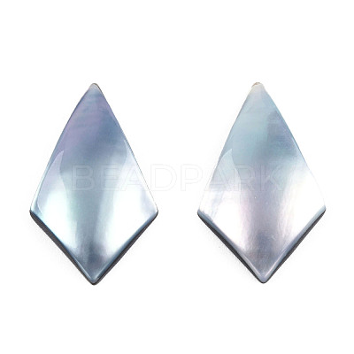Natural Turbo Cornulus/Top Shells Cabochons SSHEL-N003-154-1