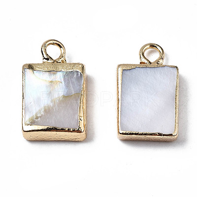 Natural Freshwater Shell Charms X-SHEL-N026-147-1