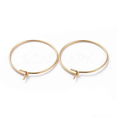 316 Surgical Stainless Steel Hoop Earring Findings X-STAS-J025-01B-G-1
