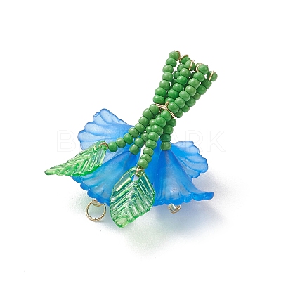 Glass Seed Beaded Pendants PALLOY-MZ01155-01-1