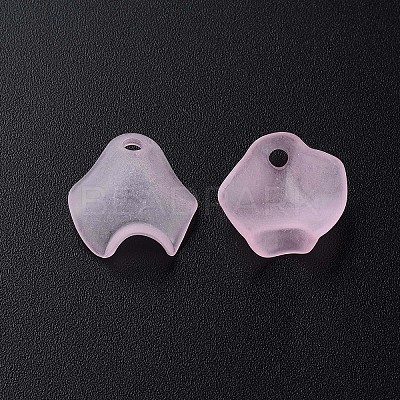 Transparent Acrylic Beads MACR-S373-106-D05-1