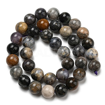 Natural Dendritic Jasper Beads Strands G-R494-A23-04-1