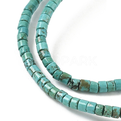 Dyed Natural Magnesite Beads Strands G-M448-C01-01-1