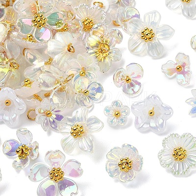 110Pcs 11 Styles Acrylic Charms PALLOY-YW00211-1
