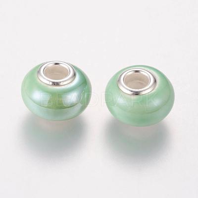 Handmade Porcelain European Beads OPDL-G001-9-1