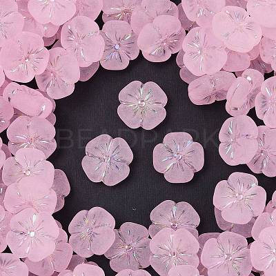 Frosted Transparent Acrylic Beads OACR-P029-19B-05-1