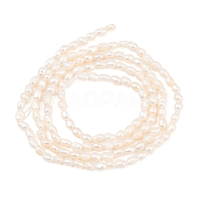 Natural Cultured Freshwater Pearl Beads Strands PEAR-D003-01D-02-1